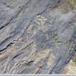 G20115 – Geoterra – Tylorstown UAV Survey – Screenshot #2