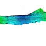 Willehall Sonar Survey 7